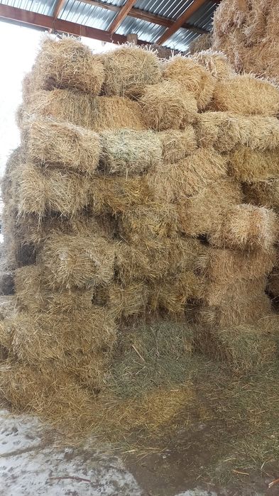 Продам люцерну и салому