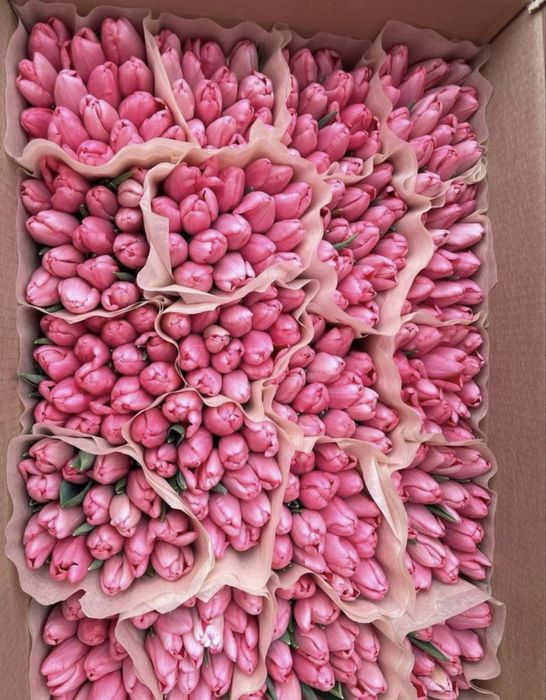 тараз, ваш шанс!!