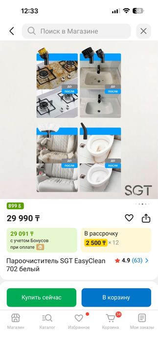 Пароочиститель. SGT EasyClean 702 белый