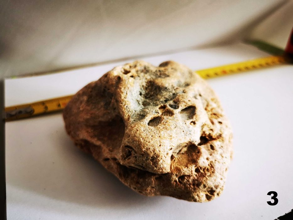 Ornamente naturale pentru terarii, acvarii, spatii int si ext