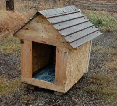 Будка для собак.