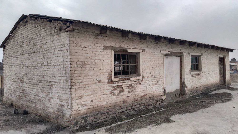 Ishlab chiqish binolari