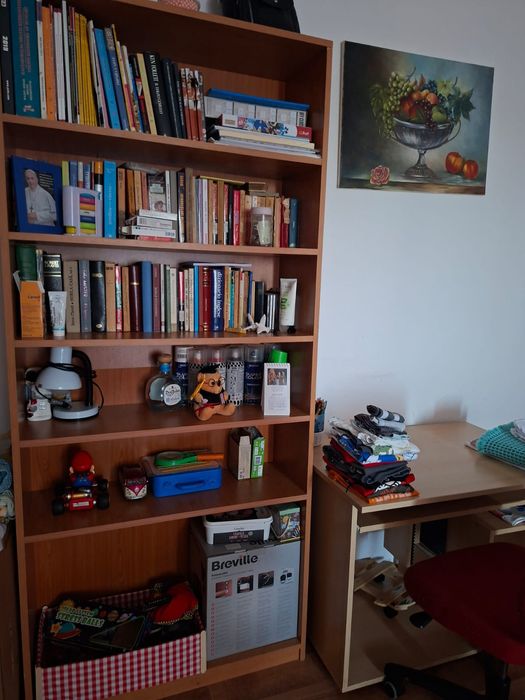 Dulap cărți și birou