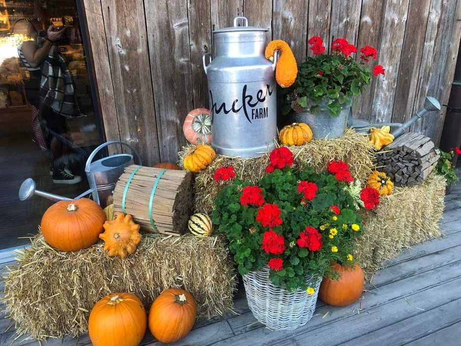 Бали слама за празници декорации, фотосесии