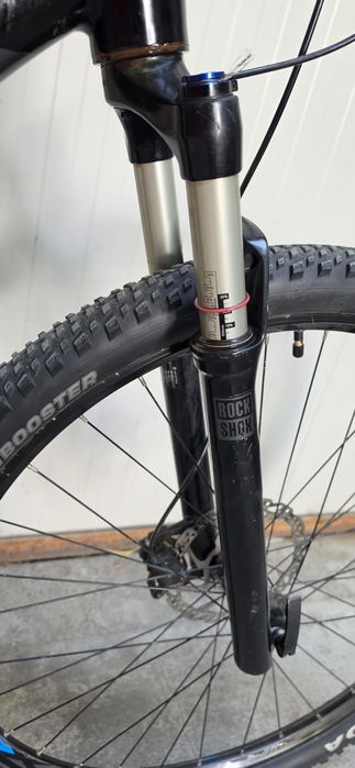 29" bulls compared 3