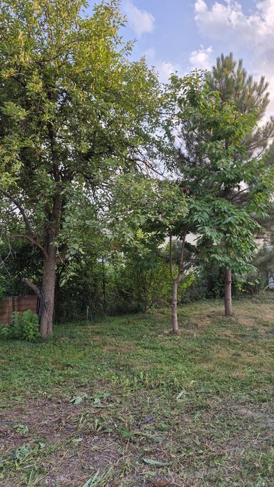 Дача 19 километр