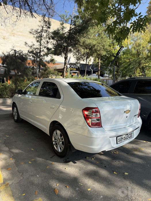 Cobalt AT 2023y. Kraska toza