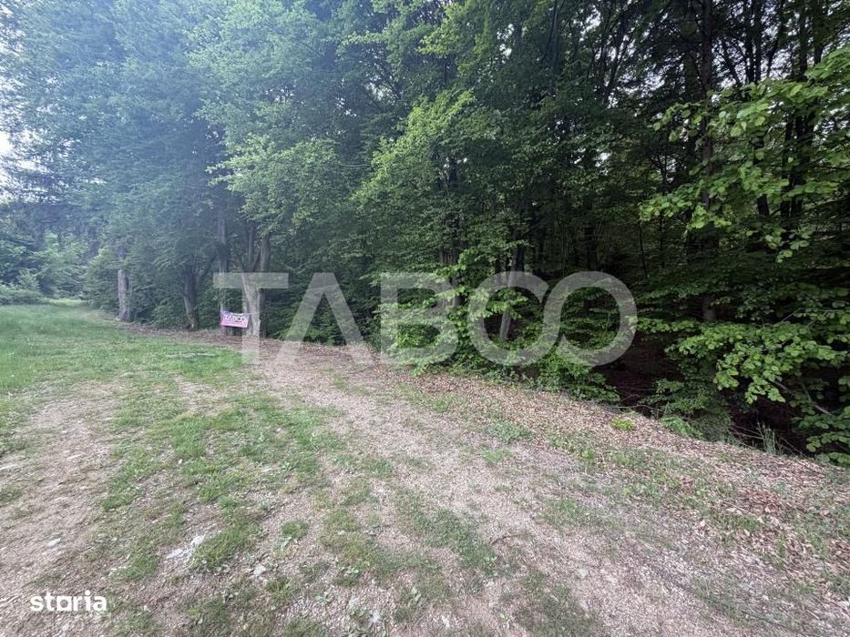 Teren intravilan 1000 mp front stradal 40 m langa Partia de Ski Dragus