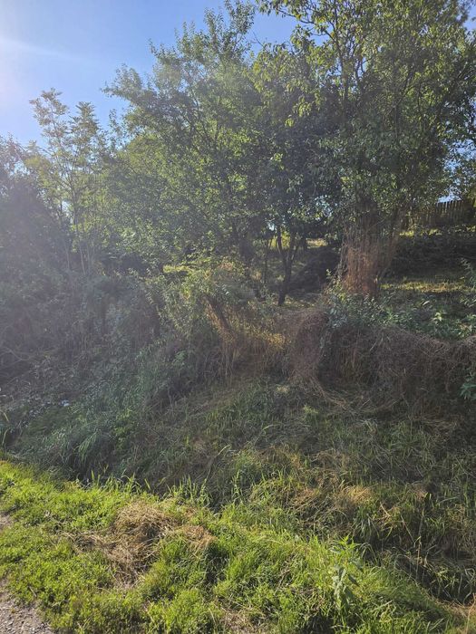Teren intravilan/ Loc de casă