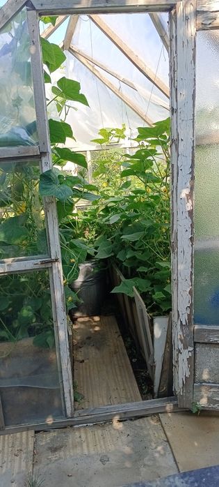 Продам дачу зимний вариант