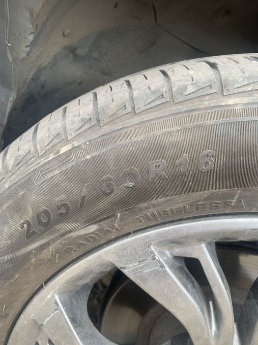 Титанки с Шинками
