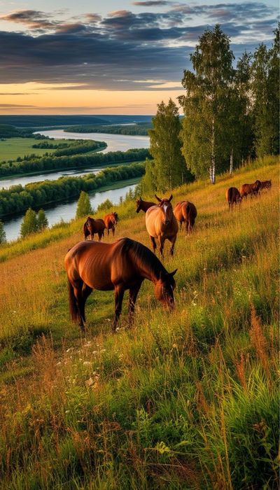 Продается животноводчество