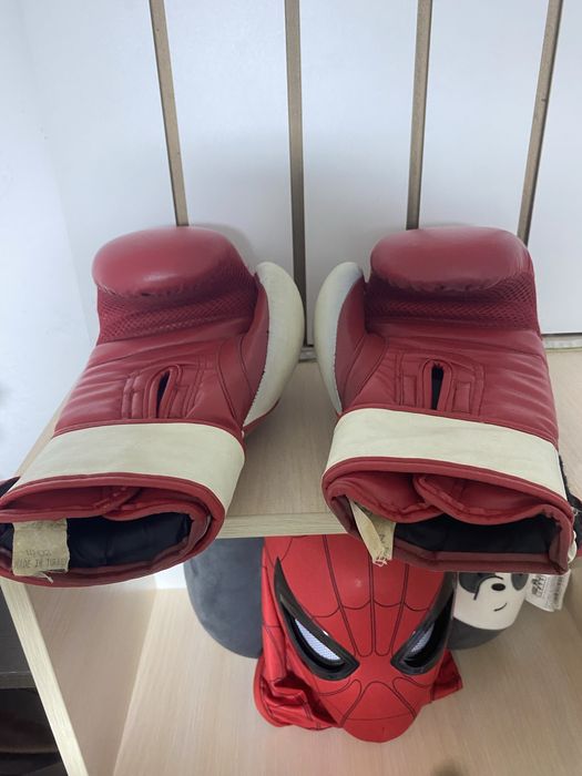 Единоборства бокс