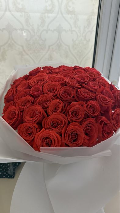 Роза 51шт свежий