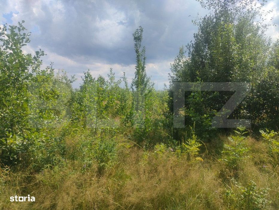 Teren intravilan, 5857 mp, Baltati, Horodnicu de Sus