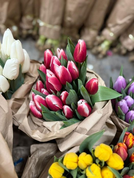 Тюльпаны для корпоратива