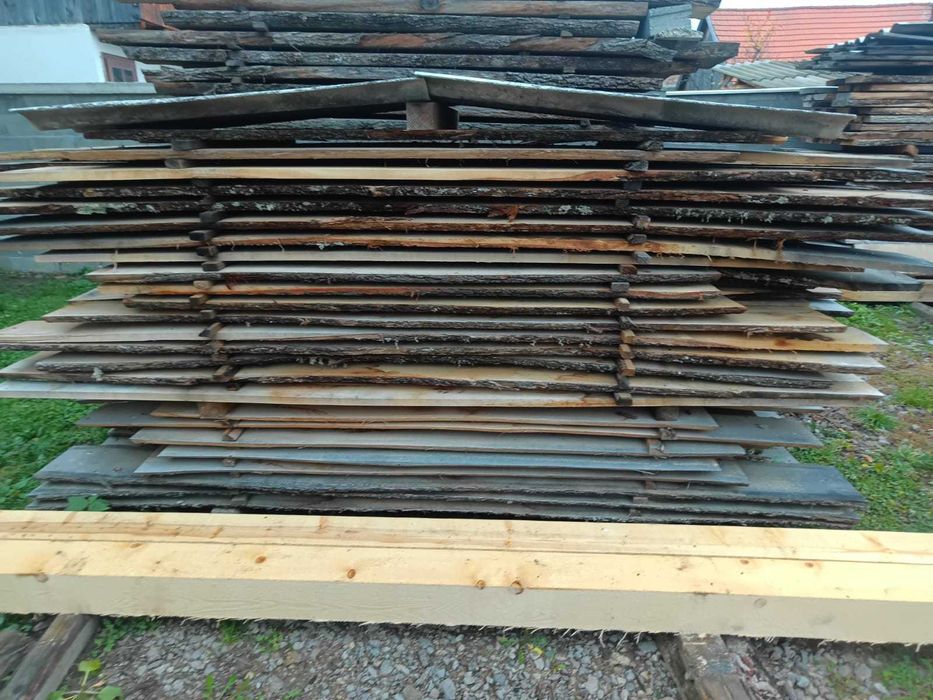 Cherestea Gorun (S, L)