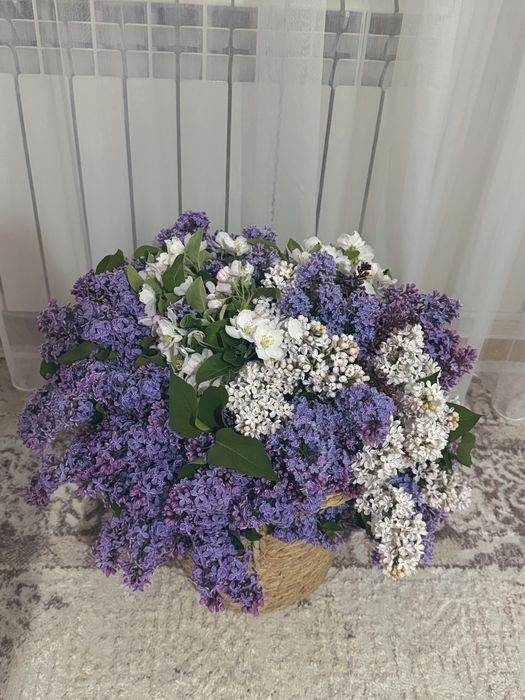 Корзинка с сиренью