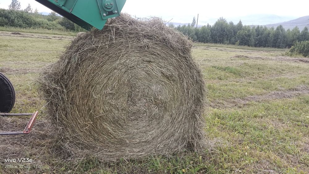 Продам сено рулонах укос 2026.г.