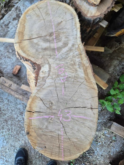 rondele(felii),blaturi stejar