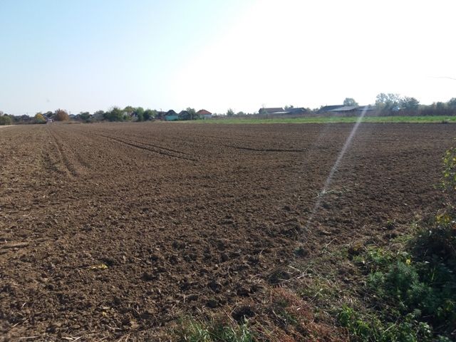Investitie! Intravilan 55 ari capat Paulesti (intrare Ambud), 36 m.f.
