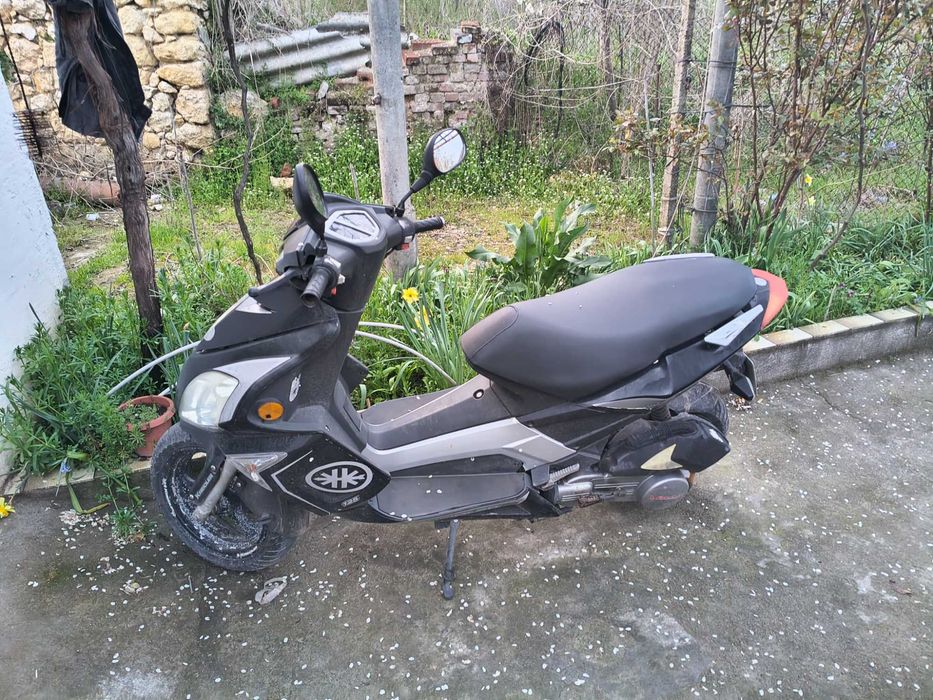 Kreidler Martinikque