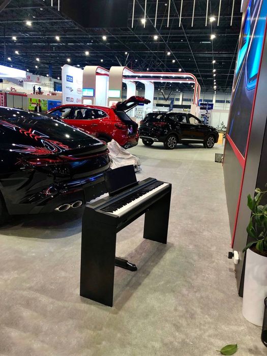 Музыкант пианист, живая фортепианная музыка vip класса.