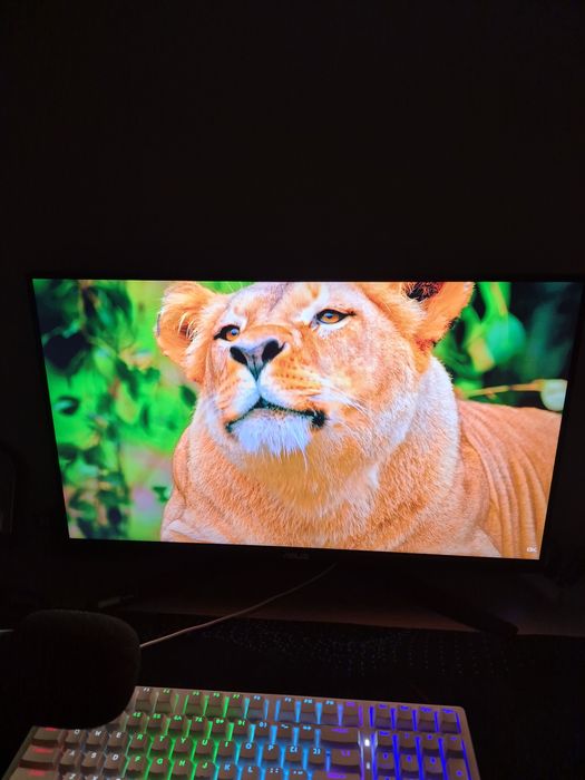 Monitor Asus TUF gaming