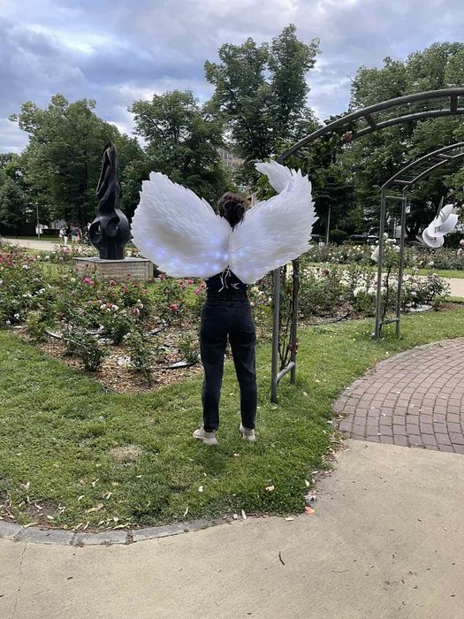 Крила за танци, шоу програми и фотосесии