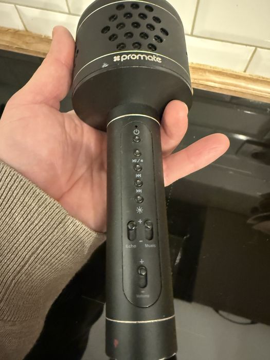 Microfon cu difuzor si mp3