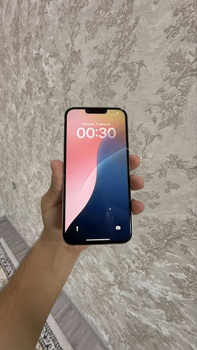 iPhone 13 Pro Max