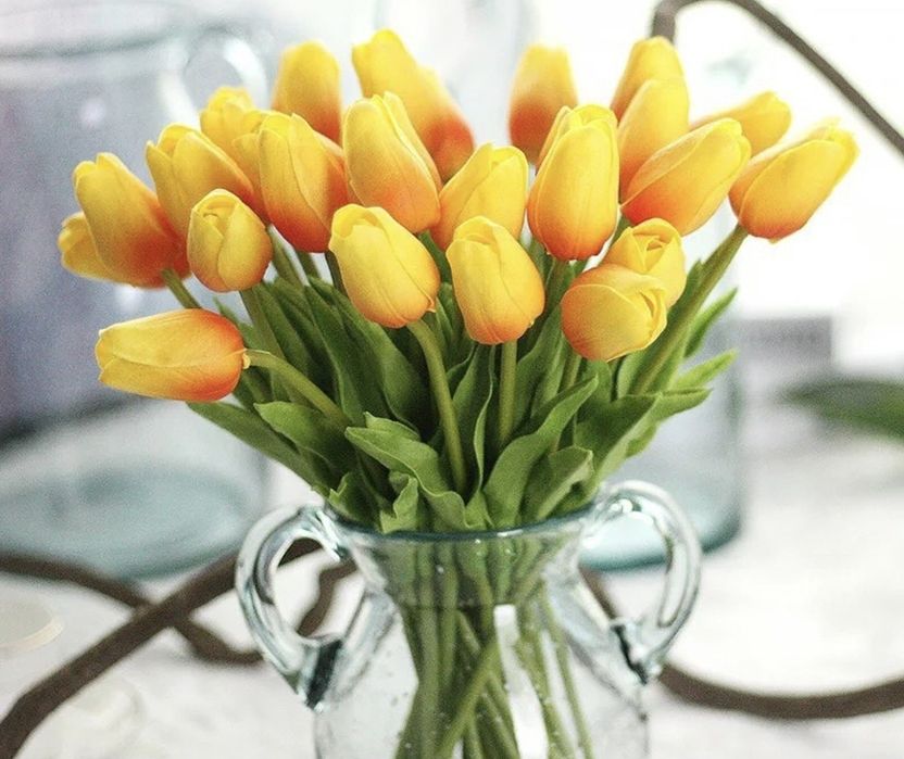 Лолалар 10та почкасида