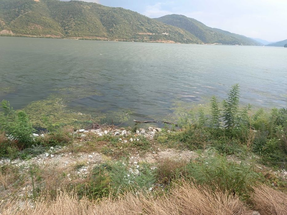 Loc de pescuit la Dunăre, Svinița