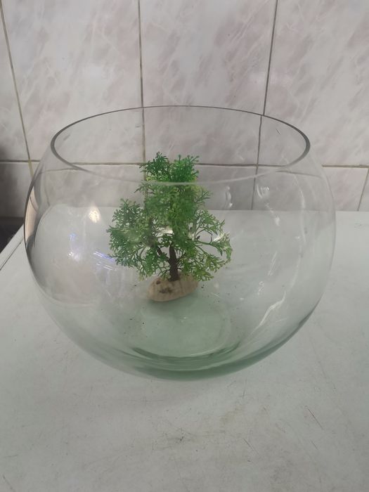 Boluri de 6 litri calitatea I