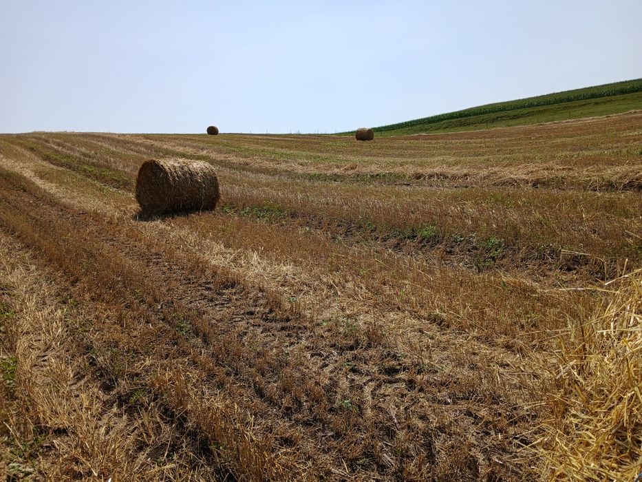 Baloti  paie 2025 si jd 2140