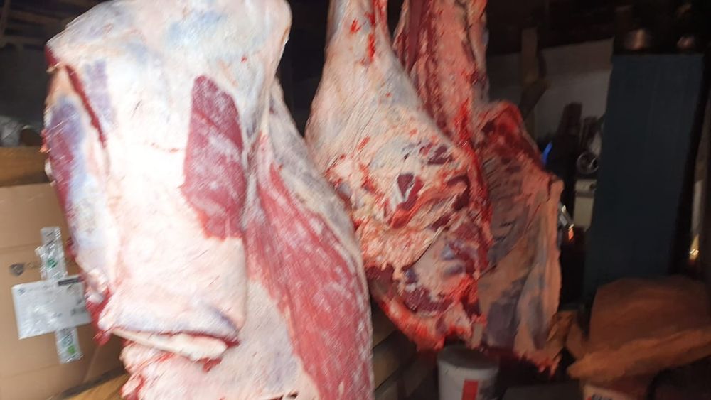 Жас тайыншалар тушалап сатылады