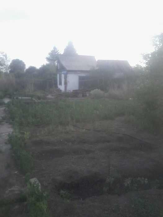 Сад металлург данный участок