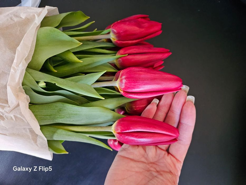 Тюльпаны 700 тг Крупные