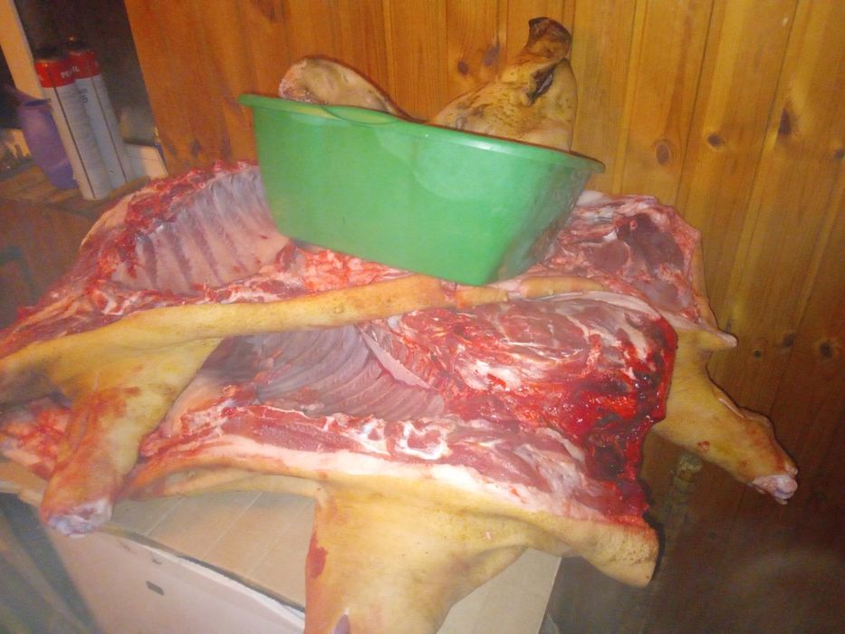 Продам мясо свинины.