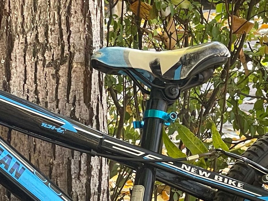 Bicicleta CARAIMAN