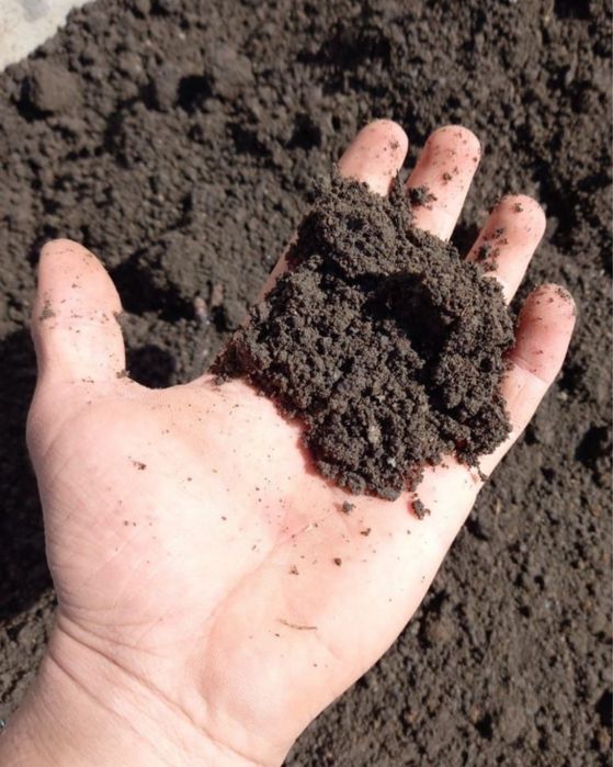 Черназем Навоз Перегной