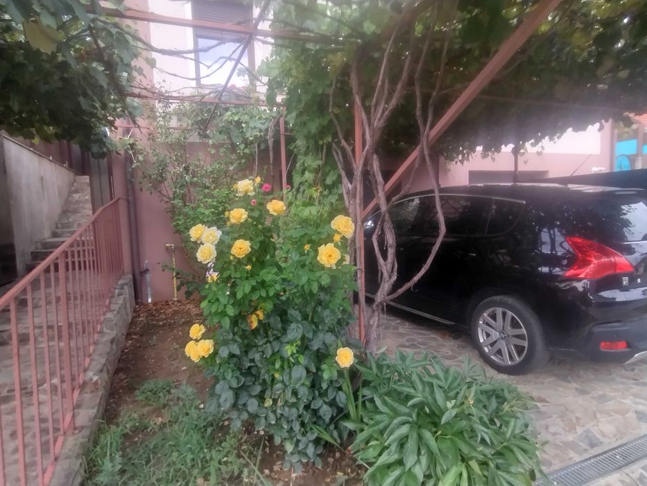 Casa aproape de B dul Stefan cel Mare, Rogerius