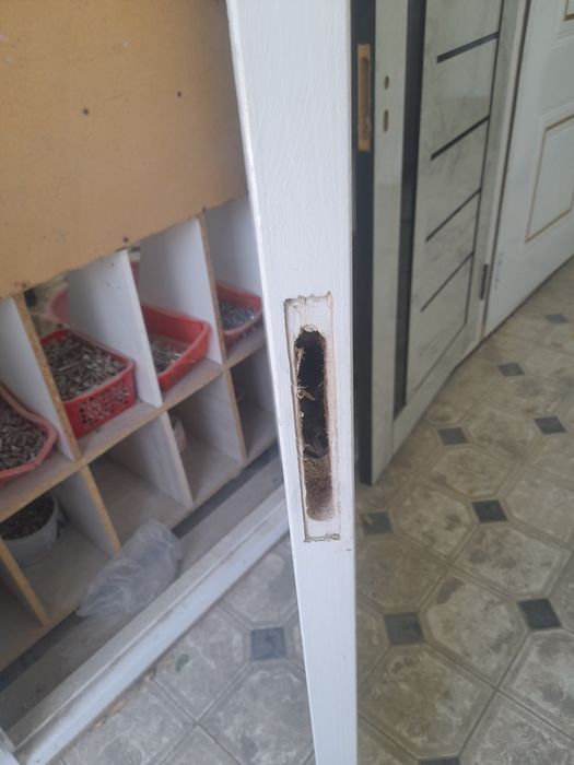 Baquvvat eshik 750 mingdan 1 200 mingacha.