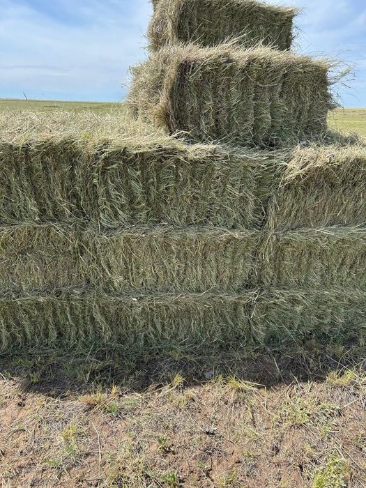 Продам сено тюках