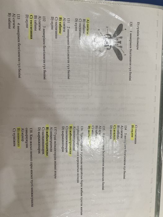 Биология ентда 100% келетин нуска талдаулар