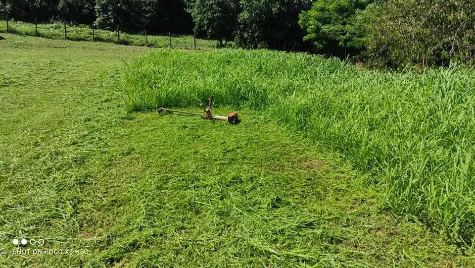 Косене на трева,чистене на дворове