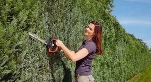 Кусторез STIHL HSE 42