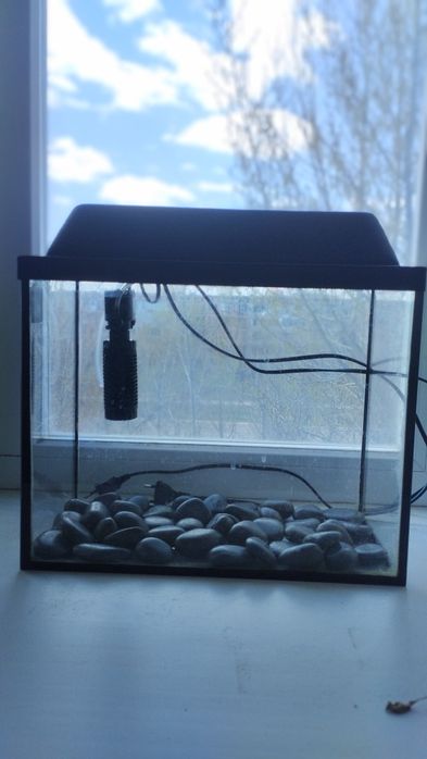 Аквариум небольшой с крышкой фильтром и камнями