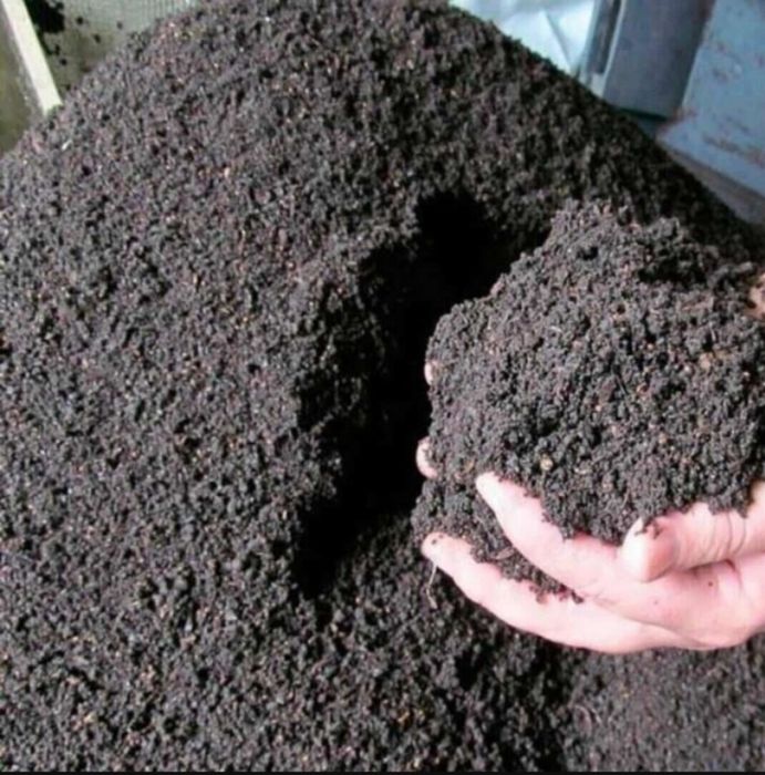 Биогомус сотилади