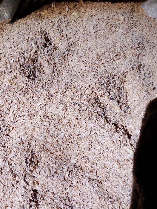 Кебек Отруб бидайдың, мучыной қабында 25 кг 
25кг 
Бағасы 2600т